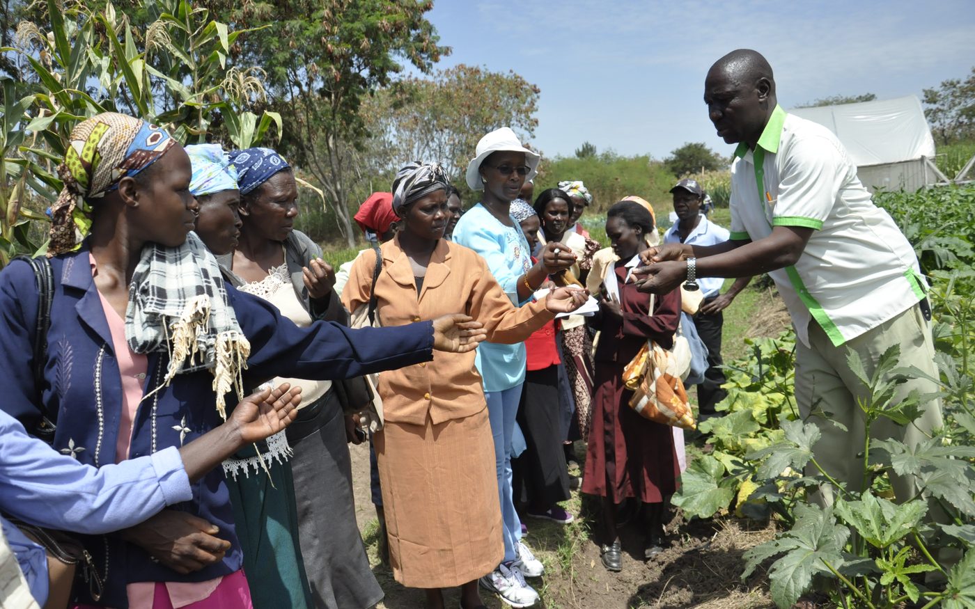 An extension officer handing seedlings to a group of farmers